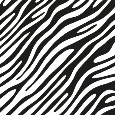 Dekorasyon grafikleri için zebranın derisindeki siyah çizgiler