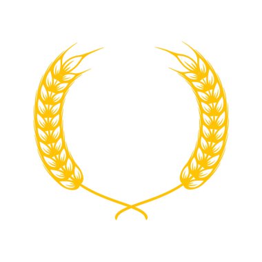 Buğday kulakları. Ekmek yapmak için tam tahıl.