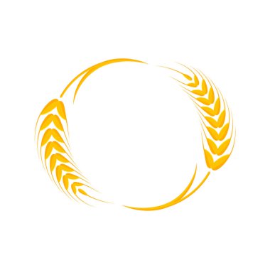 Buğday kulakları. Ekmek yapmak için tam tahıl.