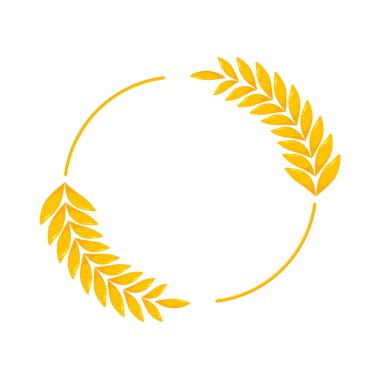 Buğday kulakları. Ekmek yapmak için tam tahıl.