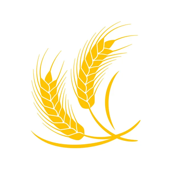 Вуха Пшениці Цілі Зерна Приготування Хліба — стоковий вектор
