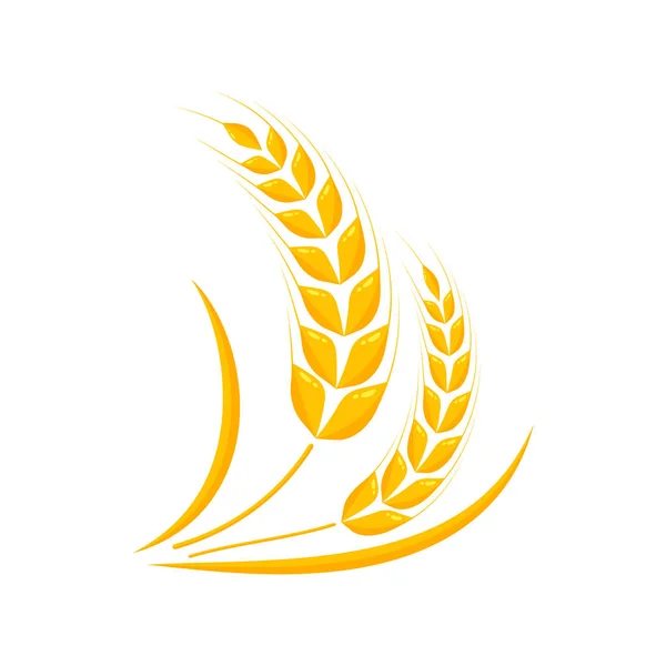 Αυτιά Σιταριού Ολόκληροι Σπόροι Για Την Παρασκευή Ψωμιού — Διανυσματικό Αρχείο