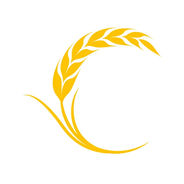 Уши Пшеницы Целые Зерна Хлеба — стоковый вектор