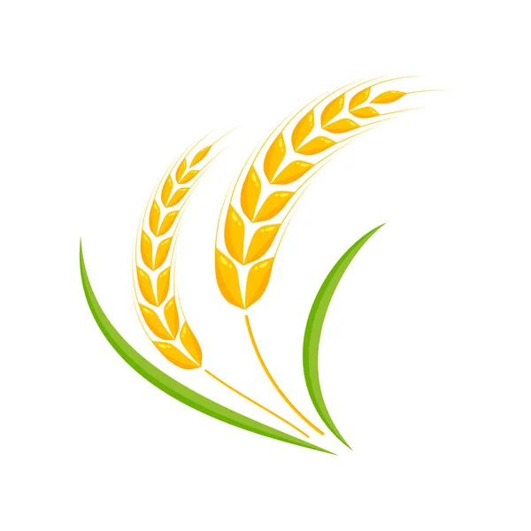 Buğday Kulakları Ekmek Yapmak Için Tam Tahıl — Stok Vektör