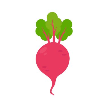 Mor pancar. Sağlık hizmetleri aşıkları için sağlıklı meyve