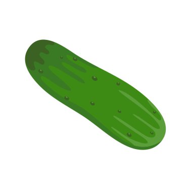 yeşil salatalık yemek için gerekli malzemeler