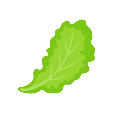 Marul. Sağlıklı bir salata için yeşil yapraklı sebzeler.