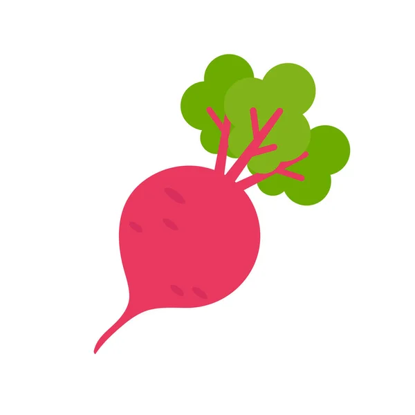Purple Beetroot Healthy Fruit Health Care Lovers — стоковый вектор
