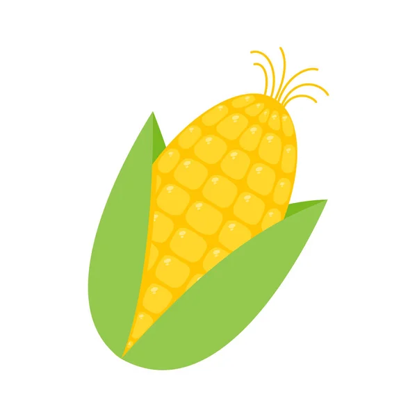 Green Husks Yellow Corn Used Food Ingredient — Wektor stockowy