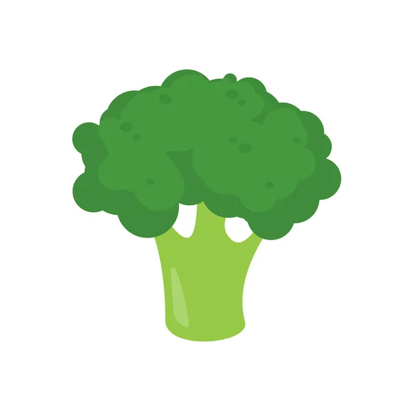 Brócolos Verdes Legumes Saudáveis Para Crianças — Vetor de Stock