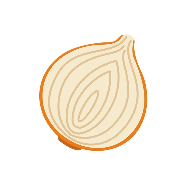 Onion Vector Raw Materials Cooking — Stockvector