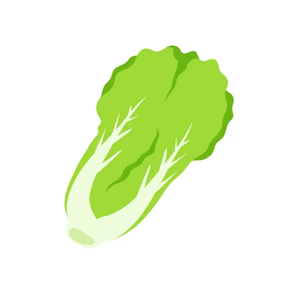 Alface Verduras Folhosas Verdes Para Uma Salada Saudável —  Vetores de Stock