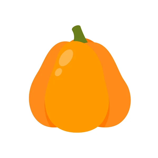 Orangenkürbis Ist Ein Energiereiches Gemüse Zum Kochen — Stockvektor