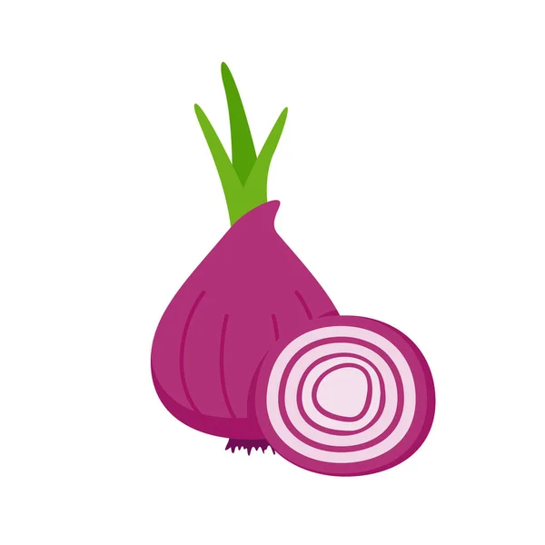 Onion Vector Raw Materials Cooking — ストックベクタ