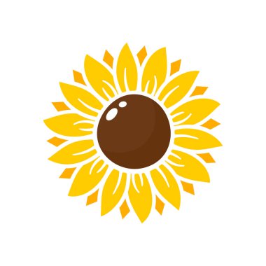 Yellow sunflowers bloom in spring. for decorating welcome sign