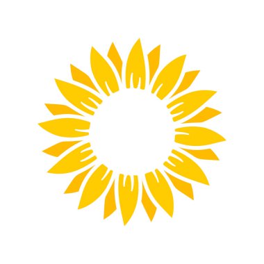 Yellow sunflowers bloom in spring. for decorating welcome sign