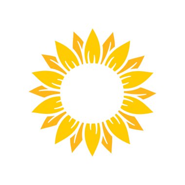 Yellow sunflowers bloom in spring. for decorating welcome sign