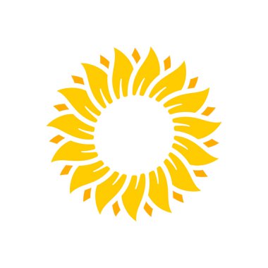 Yellow sunflowers bloom in spring. for decorating welcome sign