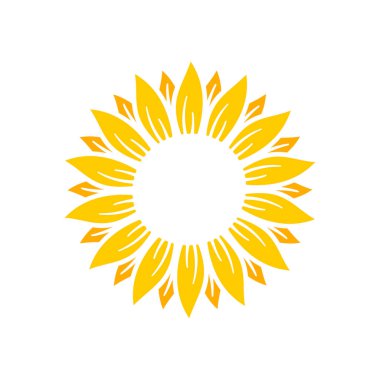 Yellow sunflowers bloom in spring. for decorating welcome sign