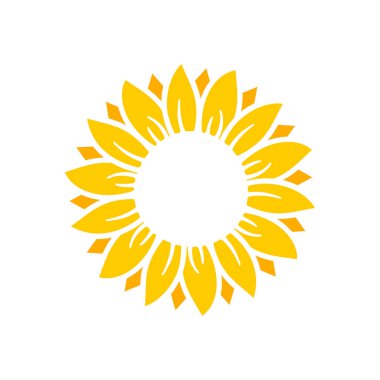 Yellow sunflowers bloom in spring. for decorating welcome sign