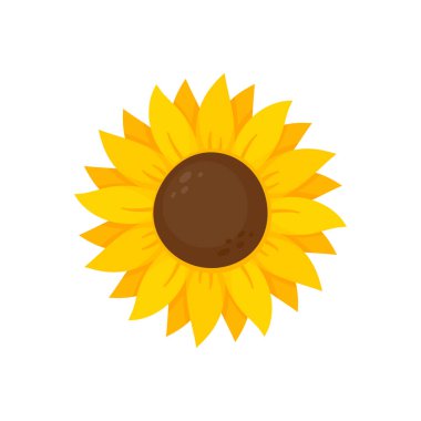Yellow sunflowers bloom in spring. for decorating welcome sign