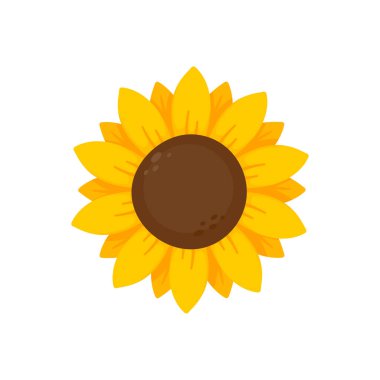 Yellow sunflowers bloom in spring. for decorating welcome sign