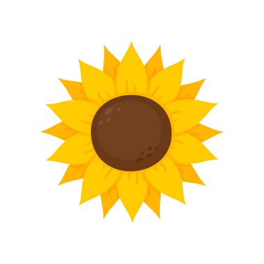 Yellow sunflowers bloom in spring. for decorating welcome sign