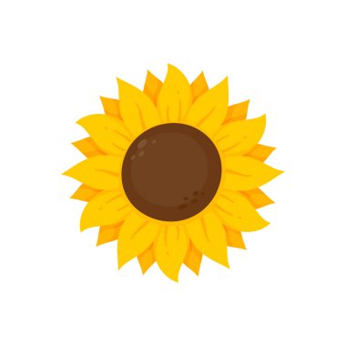 Yellow sunflowers bloom in spring. for decorating welcome sign