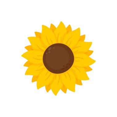 Yellow sunflowers bloom in spring. for decorating welcome sign