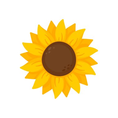 Yellow sunflowers bloom in spring. for decorating welcome sign