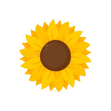 Yellow sunflowers bloom in spring. for decorating welcome sign