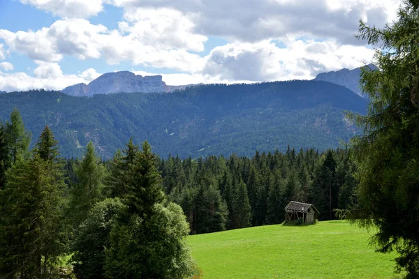 Grandes Bosques Val Pusteria Meseta Ciudad Tesido Con Croda Del — Foto de Stock