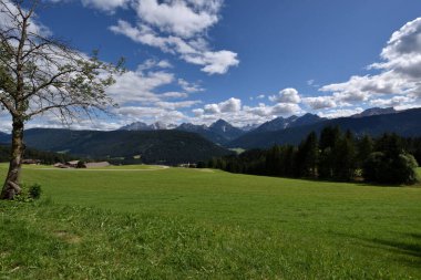 Dolomitlerin tepelerinin önündeki büyük Val Casies ormanları