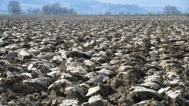 Kışın sonunda tarlaların toprağı sürüldü, ekildi, ekildi, ekildi, ekildi.