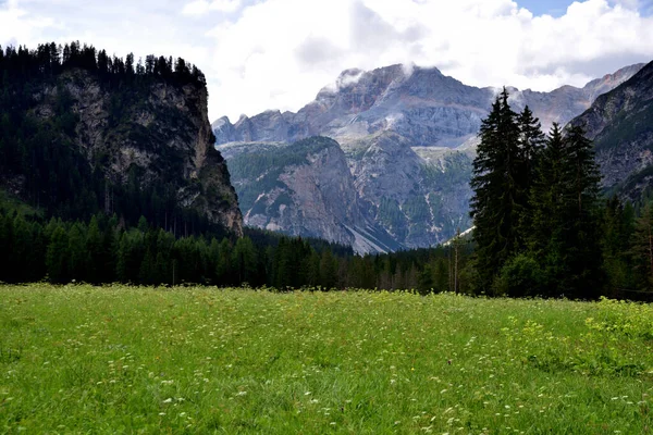 Maciço Croda Rossa Braies 3139 Metros Altura Visto Dos Prados — Fotografia de Stock