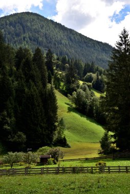 Ormanın kenarındaki açıklık, Val Anterselva 'da kırsal huzurun bir köşesi.