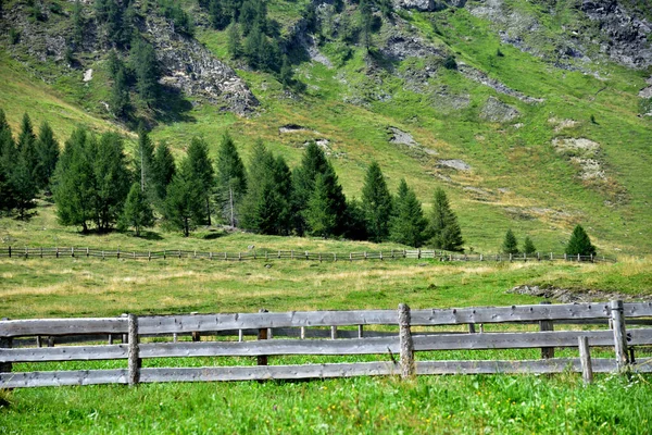 Malga Fana Nın Çayırları Aynı Isimli Vadide Bulunan Valles Köyünün — Stok fotoğraf