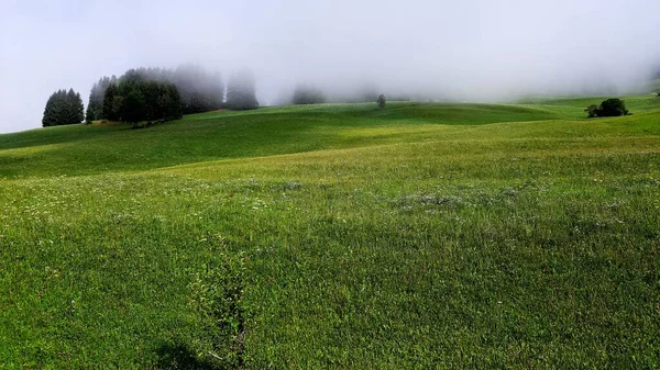 Morgennebel Über Den Wiesen Pragser Tal Der Sommersaison Hat Die — Stockfoto