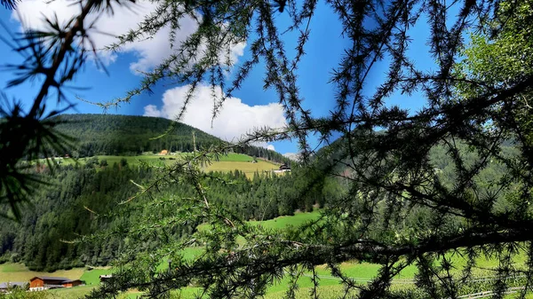 Attraverso Rami Degli Abeti Vista Una Costa Dei Monti Della — Foto Stock