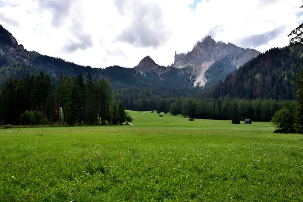 Alt Prags Weilanden Met Wolken Gehulde Picco Vallandro Achtergrond — Stockfoto