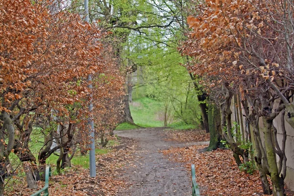 Vicolo autunno — Foto Stock