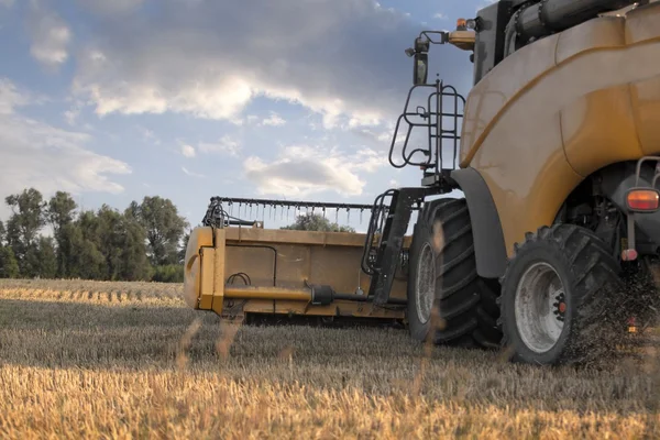 Combine harvester on a wheat field — Stock Photo, Image