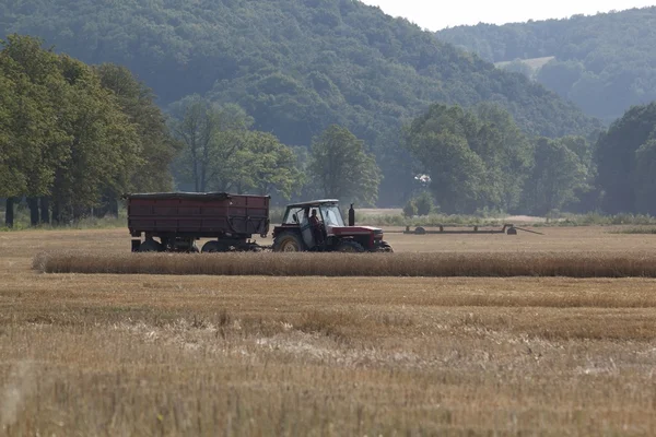 Old tractor on a field — Stock Photo, Image