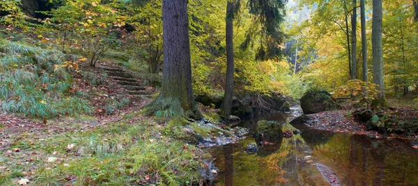 Осенний ручей в лесу в солнечный день — стоковое фото