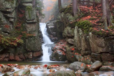 Waterfall Podgornej in the Giant Mountains, Poland clipart