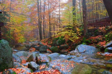 şelale podgornej dev dağlarda, Polonya