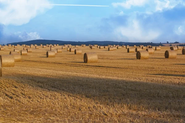 Hay bales and blue sky — Stock Photo, Image