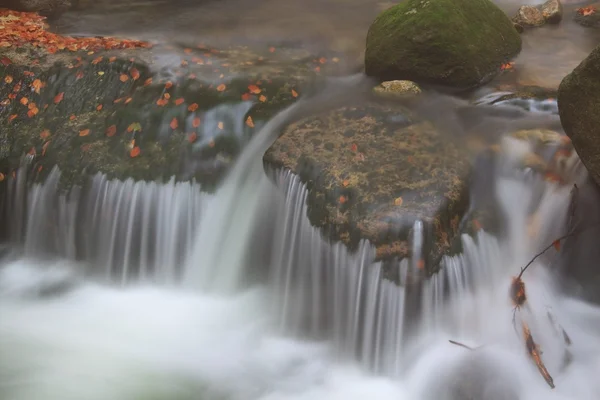 Cours d'eau d'automne dans la forêt par temps brumeux — Photo