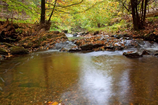 Herbstbach im Wald bei sonnigem Tag — Stockfoto