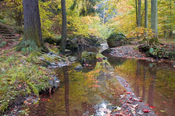 सनी दिवशी जंगलात शरद ऋतूचा प्रवाह — स्टॉक फोटो, इमेज